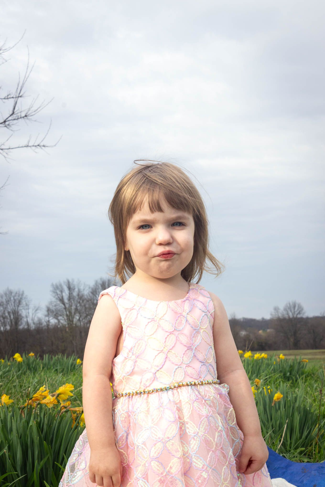 Cute toddler girl in pink dress making a funny face while standing in a field of yellow daffodils.
