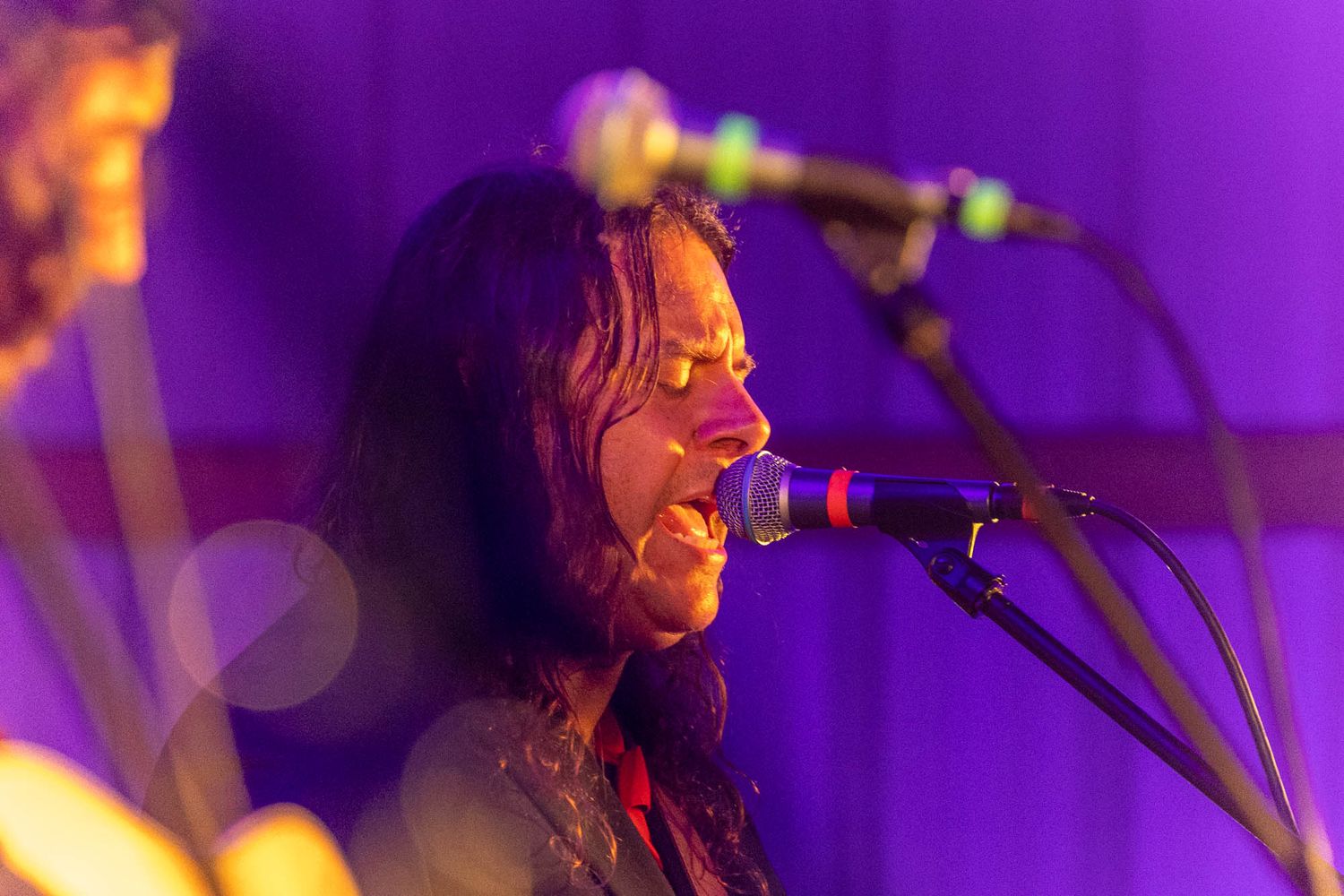 Long-haired musician sings into microphone on stage under warm purple and orange lights.