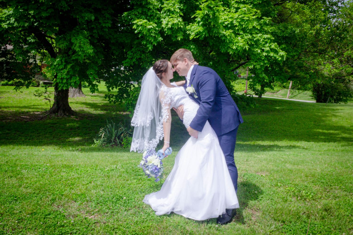 Bride and groom sharing romantic dip kiss on green lawn under large tree after wedding.