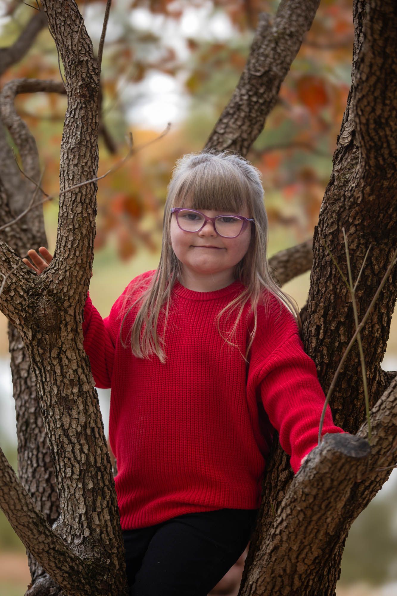 Young girl in red sweater and glasses climbing a tree in an autumn park, smiling at camera.