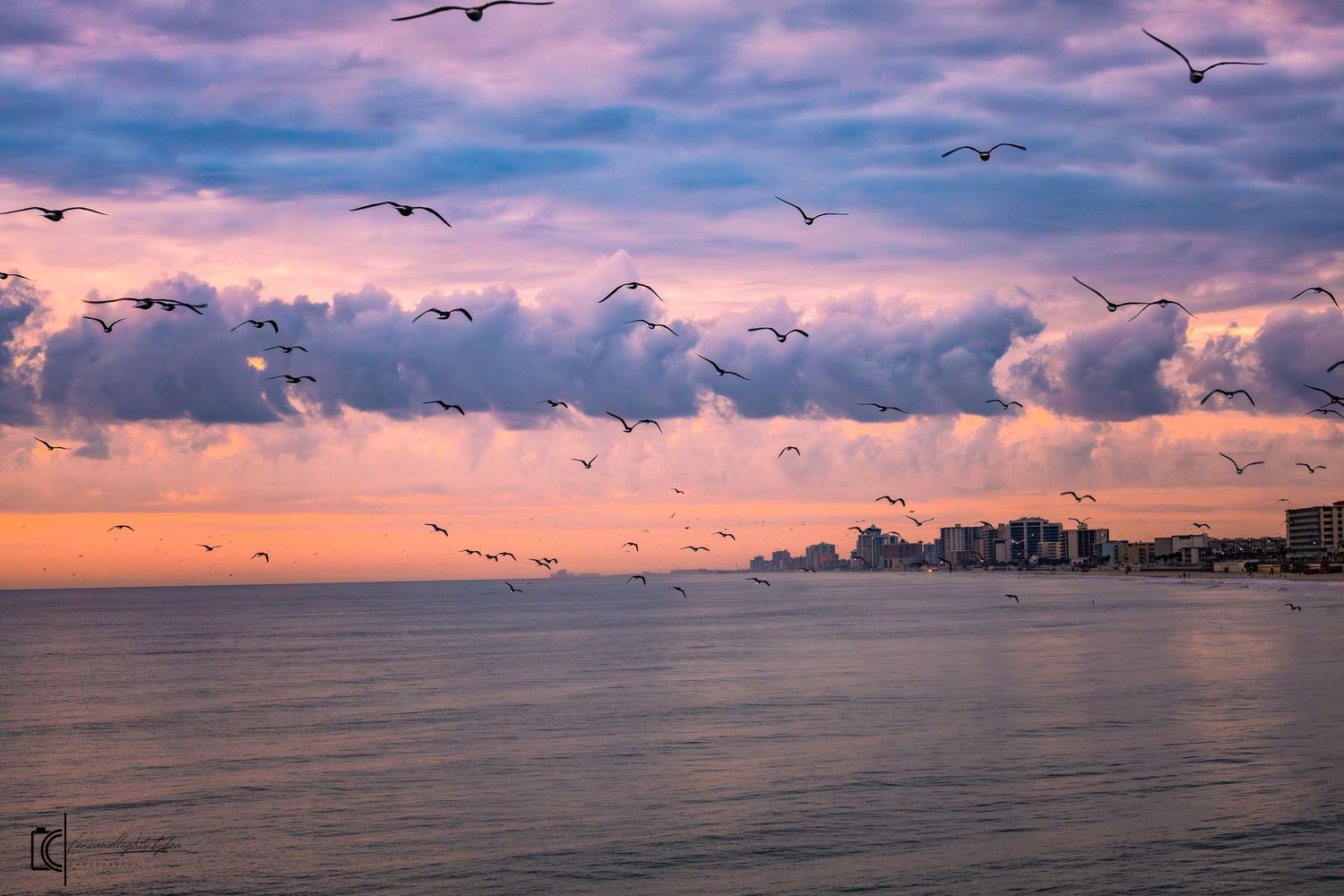 Silhouettes of seagulls flying against a vibrant pink and purple sunset sky over the ocean.