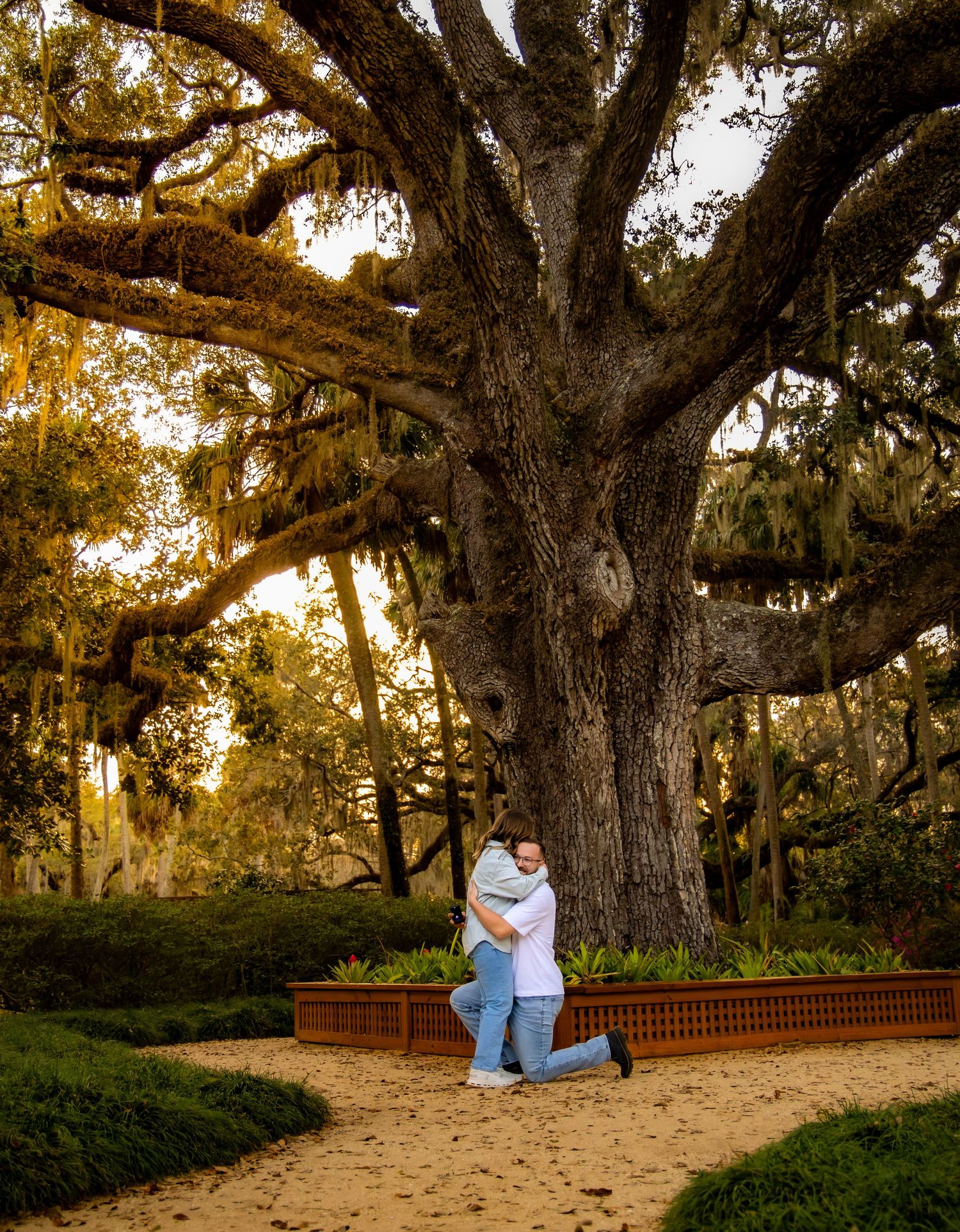 A romantic sunset engagement session under Spanish moss-draped oak trees at Bok Tower Gardens in Florida.
