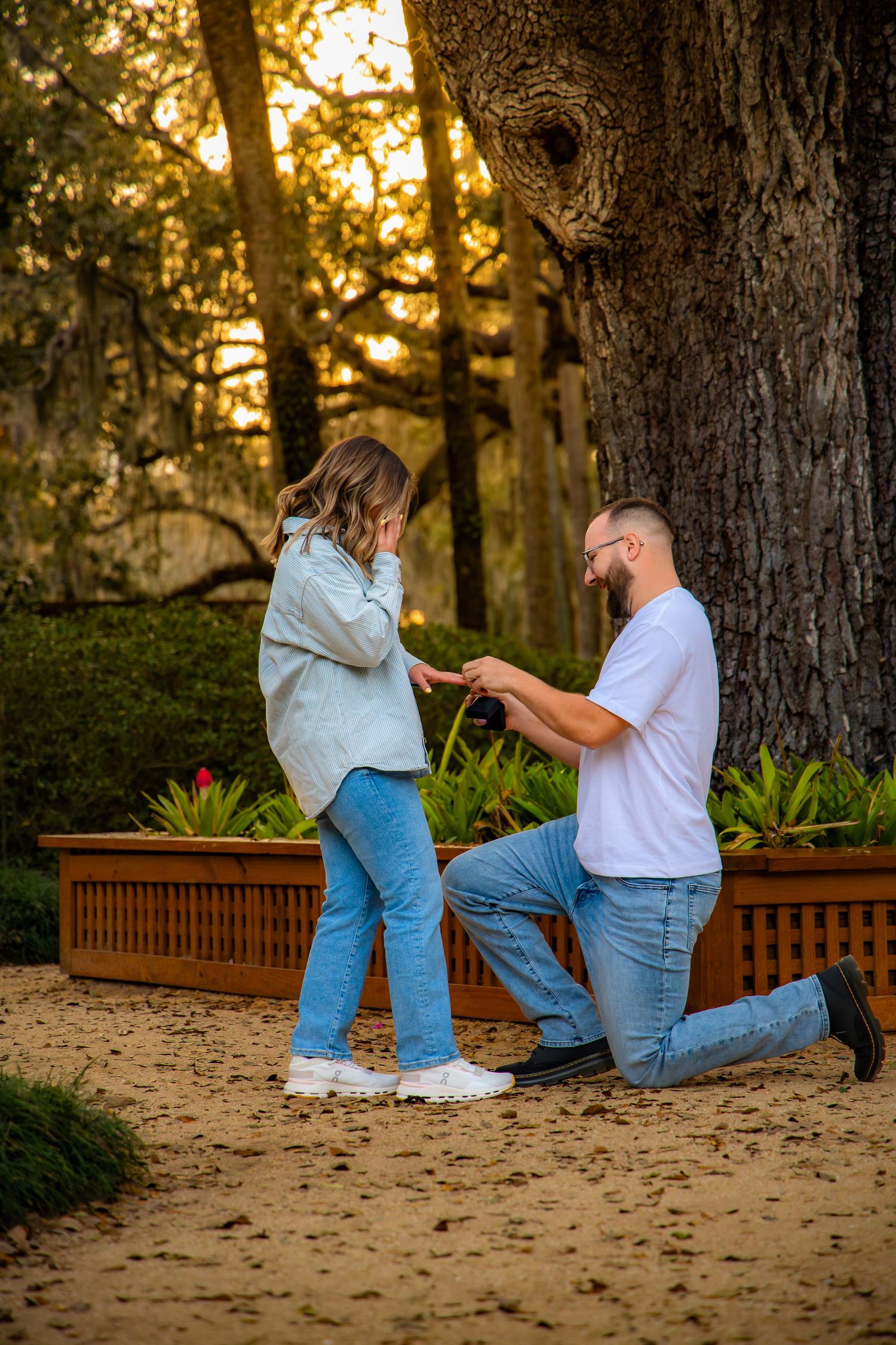 A romantic proposal scene takes place at sunset under a large tree with golden light filtering through the branches.