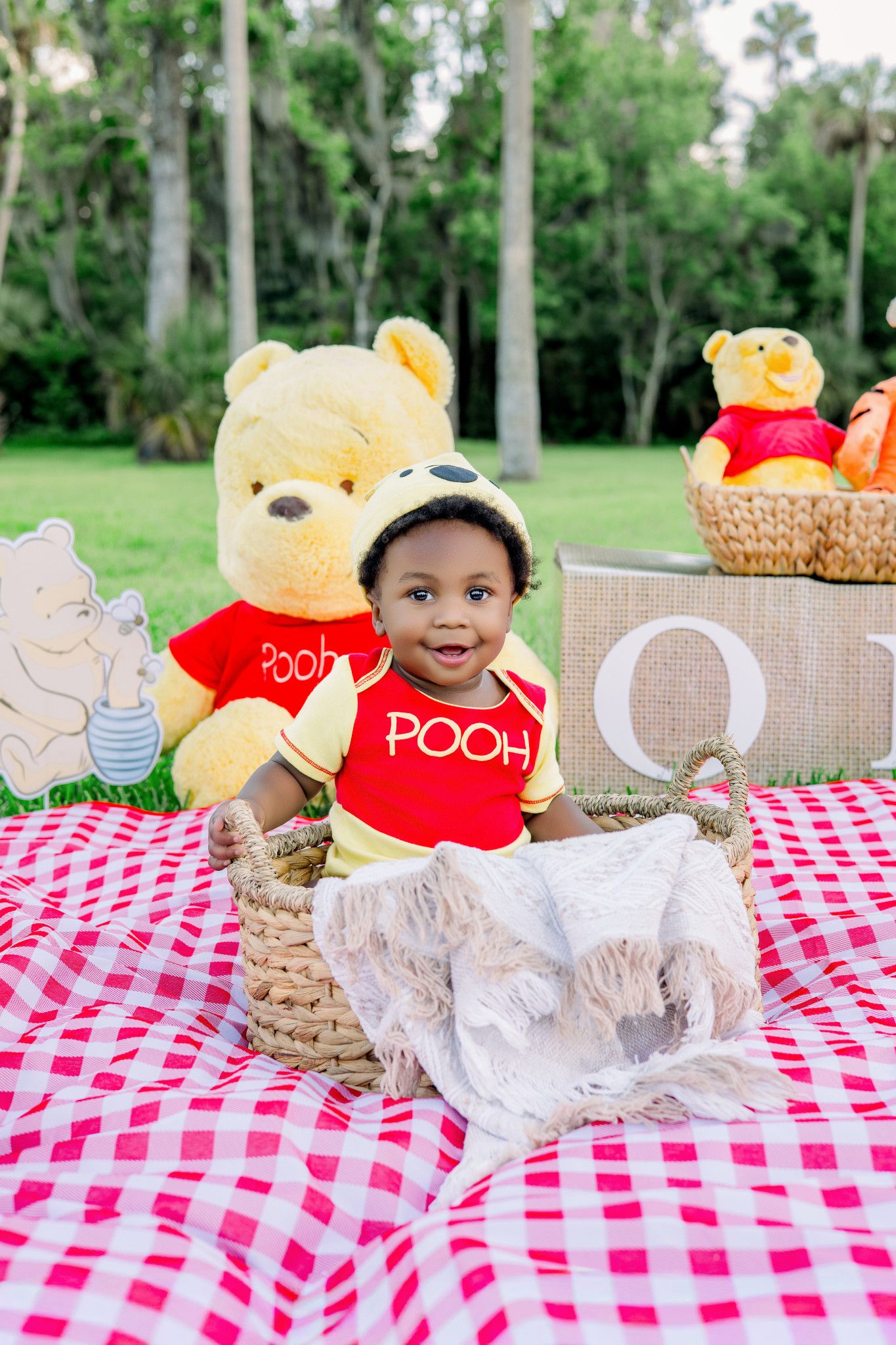 Adorable baby in Winnie the Pooh outfit sitting in wicker basket on red gingham blanket with Pooh bear stuffed animals outdoors.