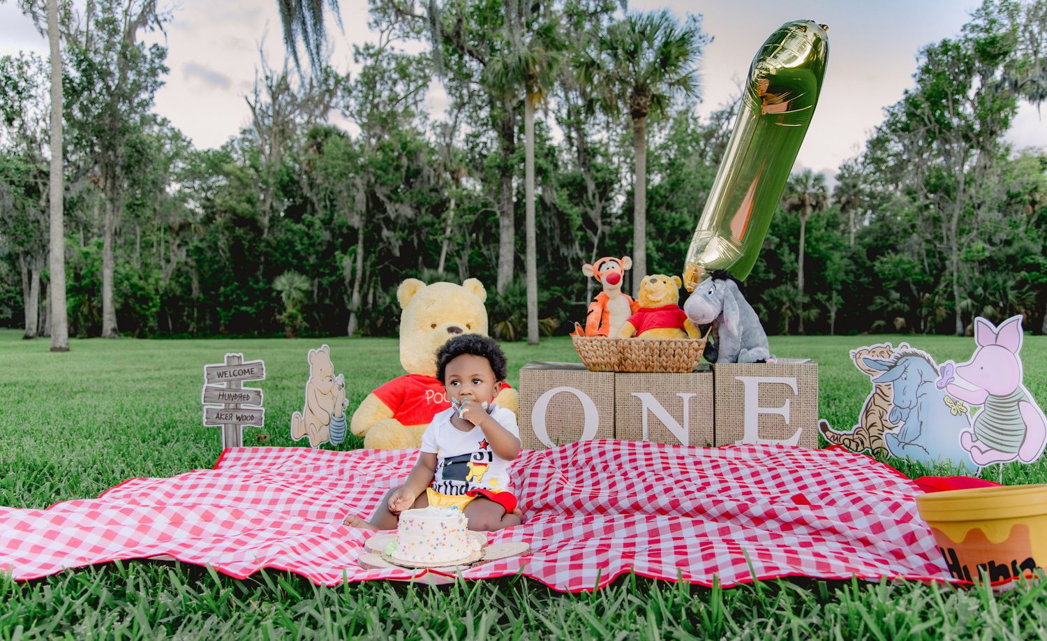 Baby's first birthday Winnie the Pooh themed cake smash on red gingham blanket outdoors with character plush toys.