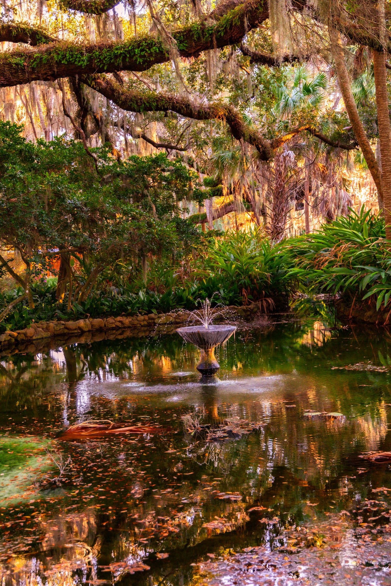 Serene garden pond with a small fountain surrounded by lush ferns and moss-draped oak trees reflecting in still water.