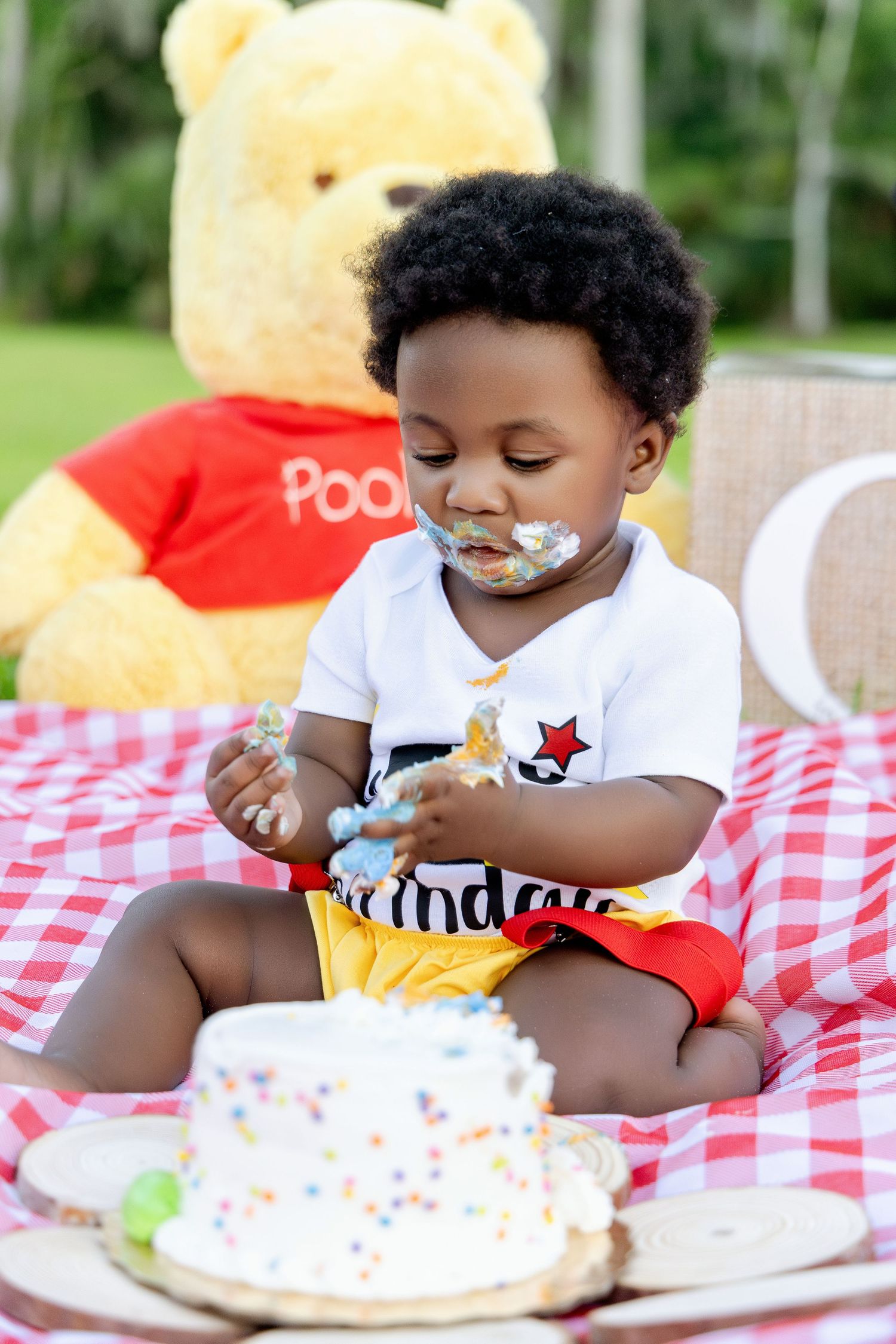 Toddler boy enjoying a cake smash birthday celebration outdoors with a Winnie the Pooh stuffed animal.