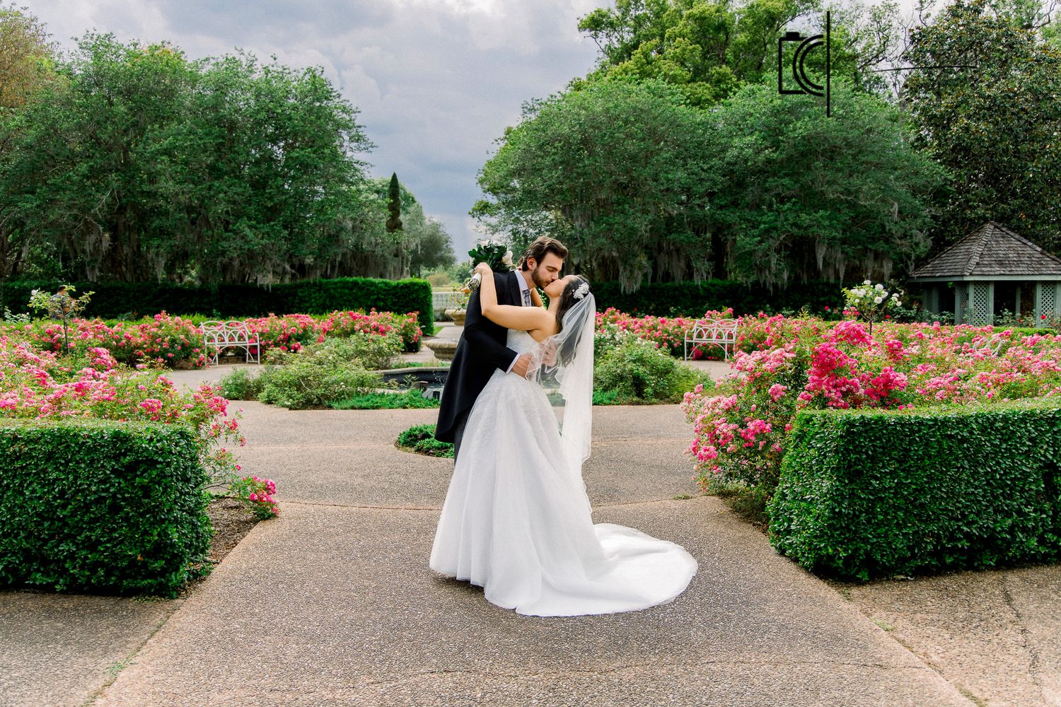 Bride and groom share a romantic embrace in a lush garden with blooming pink roses and green hedges.