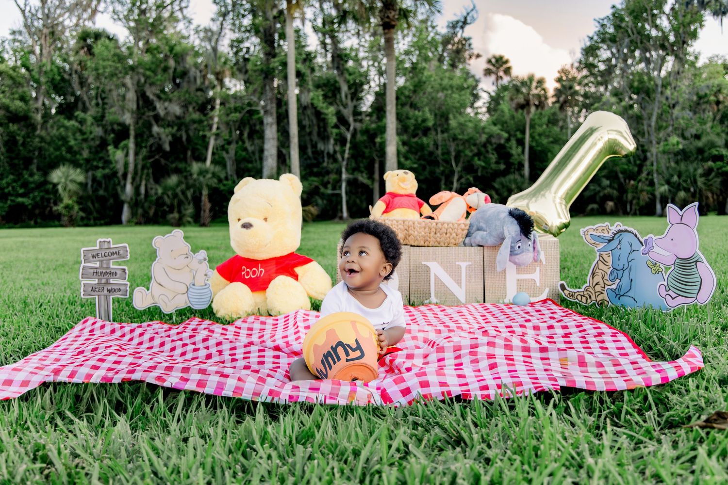 Baby sitting on a red checkered blanket outdoors with a Winnie the Pooh stuffed animal and birthday decorations.