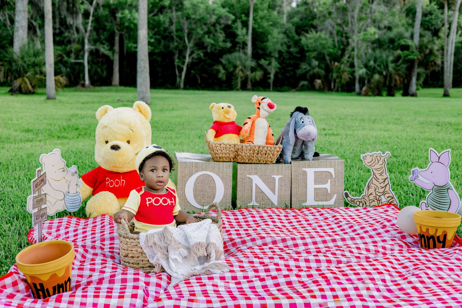 Baby sits in basket surrounded by Winnie the Pooh stuffed animals and ONE blocks on red checkered picnic blanket outdoors.