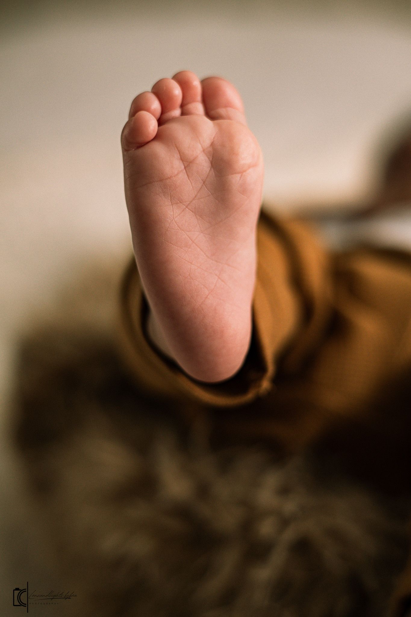 Close-up view of a tiny baby foot against a soft brown fabric background.