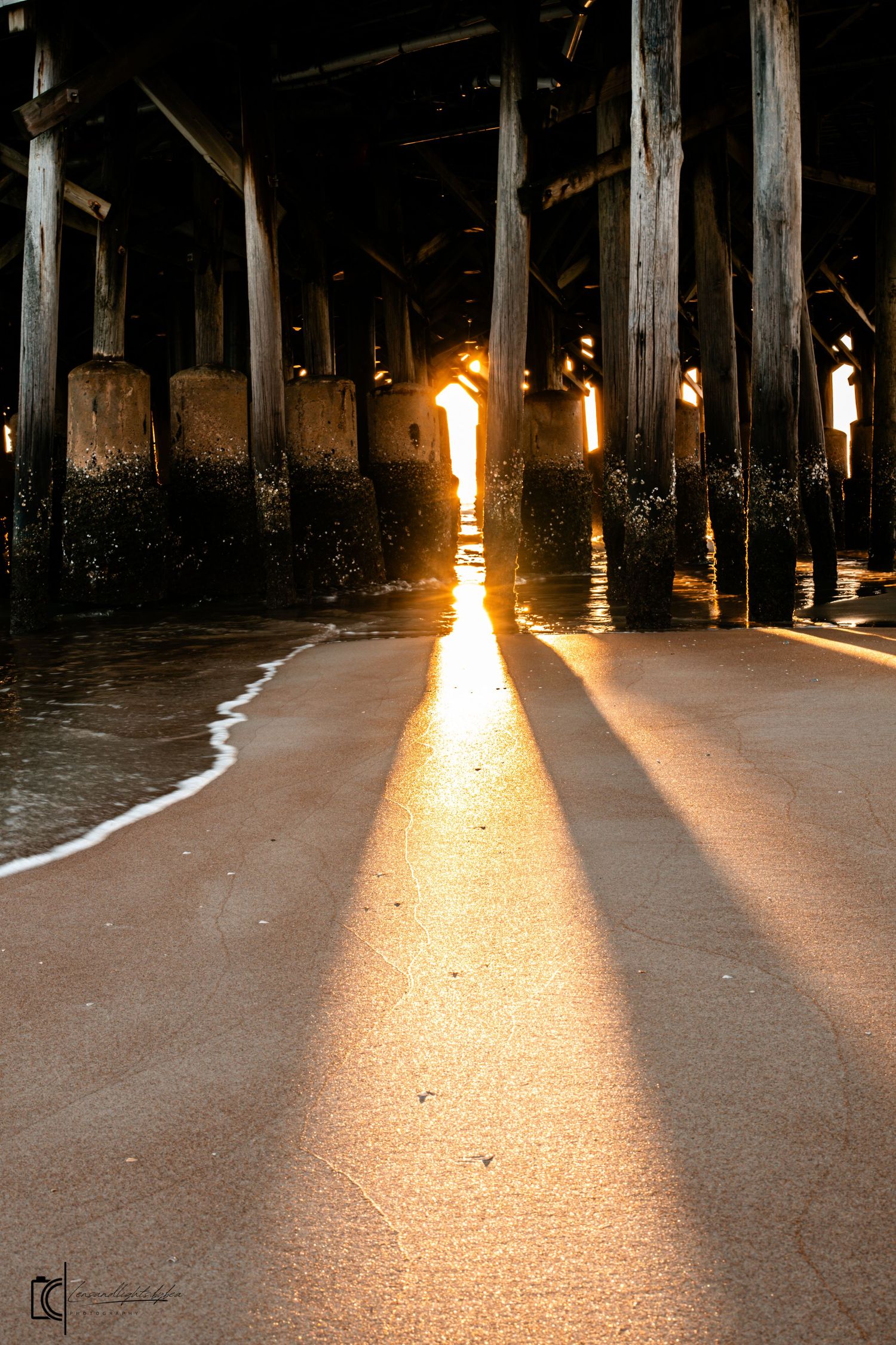 Sunlight streams through wooden pier pilings creating dramatic shadows and beams on wet sand during golden hour.