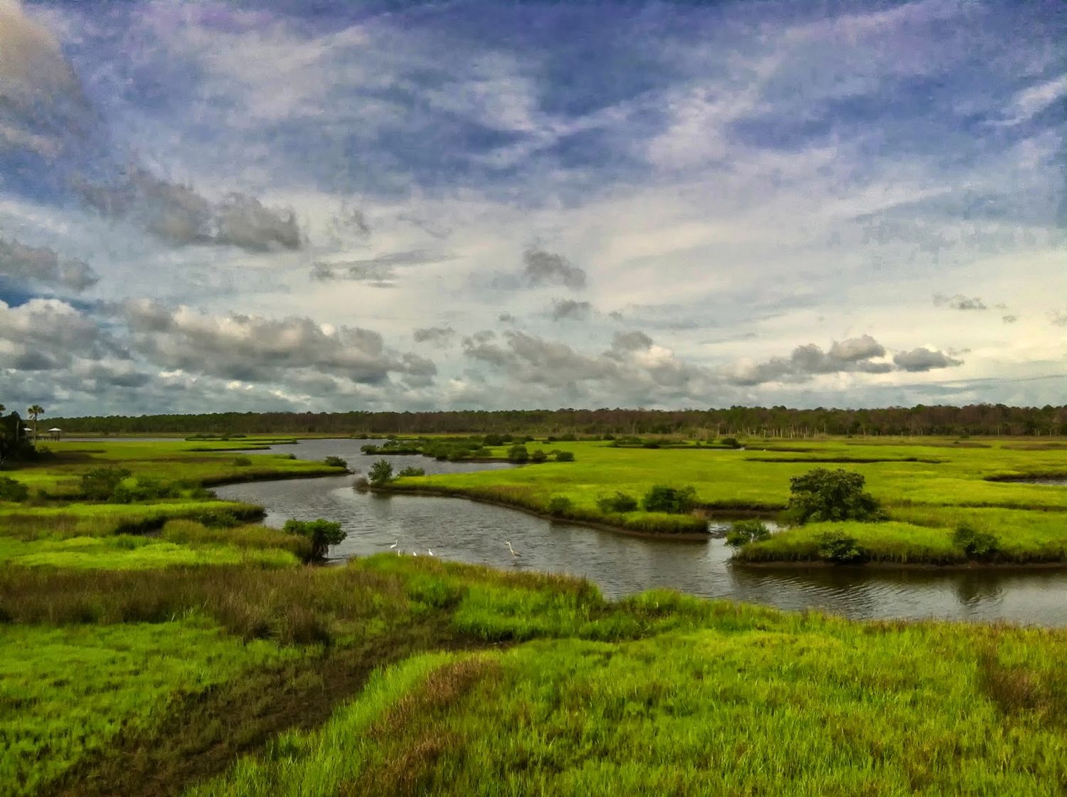 Lush green marshland with winding river channels under a dramatic cloudy sky in a scenic coastal wetland landscape.
