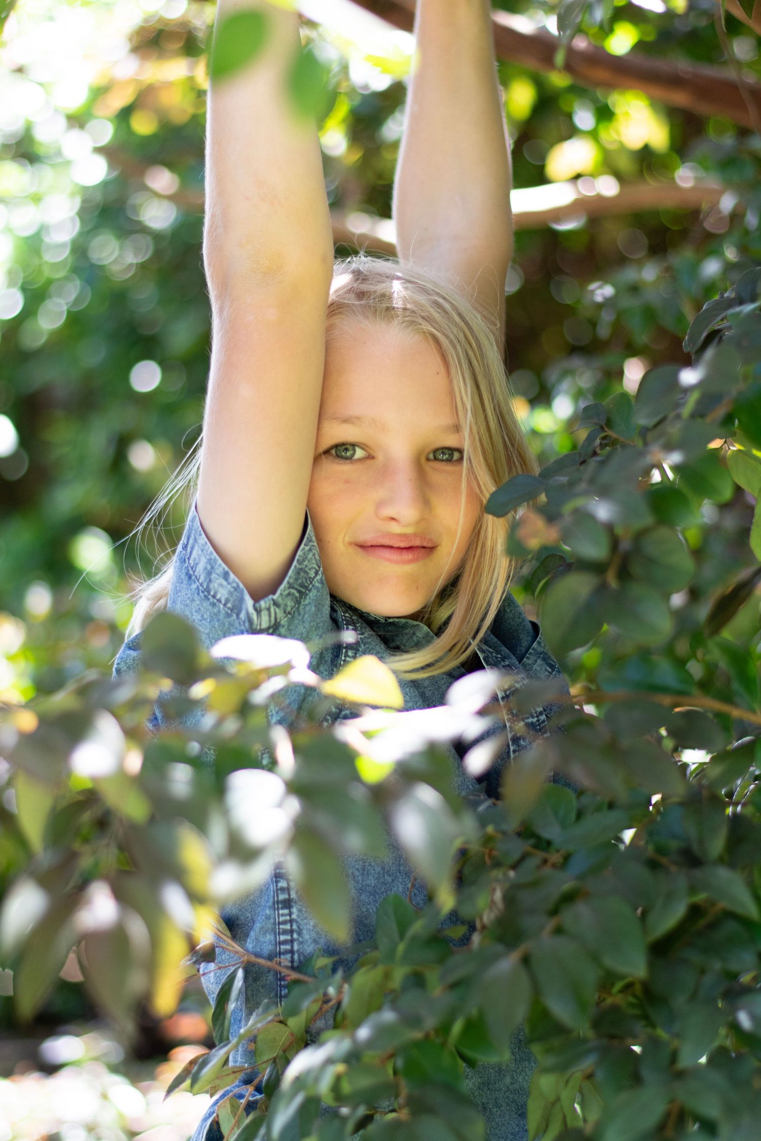 Boy hanging from branch