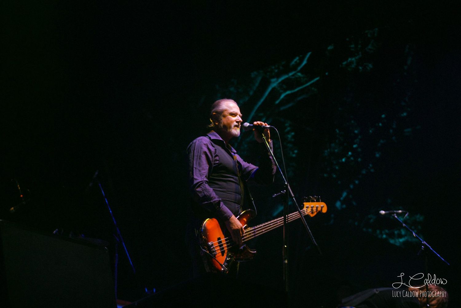 Steve Kilbey for The Church singing at night
