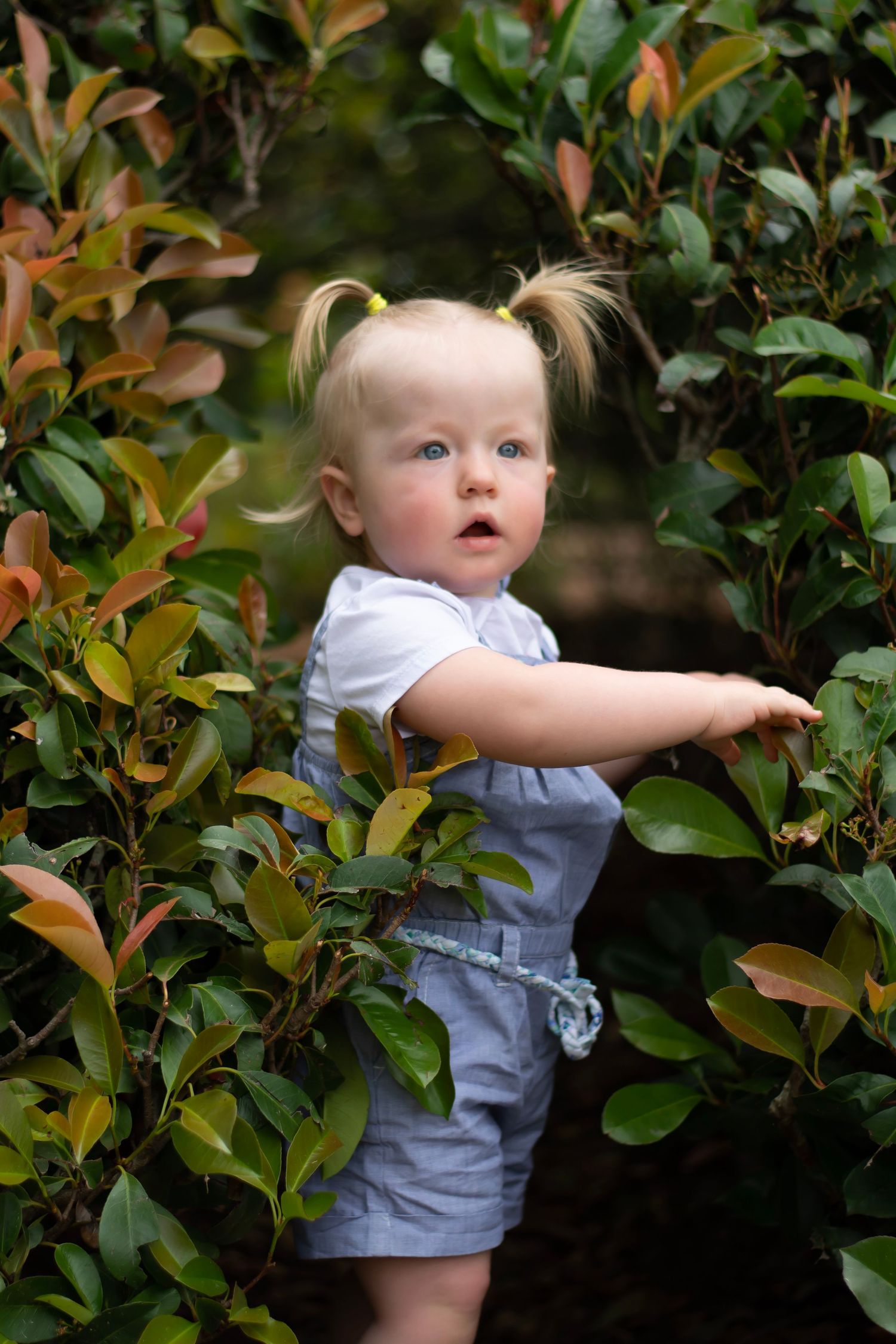 Little girl posing in hedges