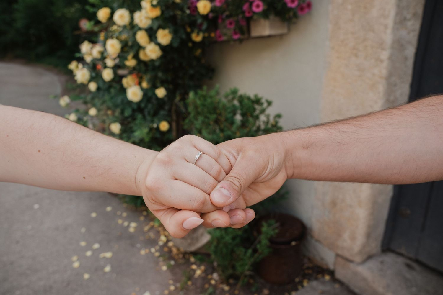 Two people holding hands outdoors with yellow roses and pink flowers in the background.