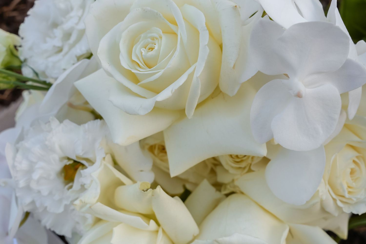 Close-up of an elegant white bridal bouquet featuring roses, orchids, and lisianthus flowers.