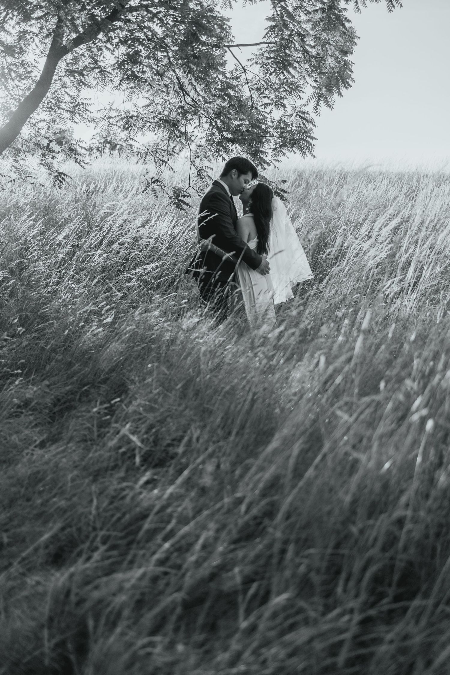 A black and white romantic moment captured in tall grass with a couple embracing under a tree.