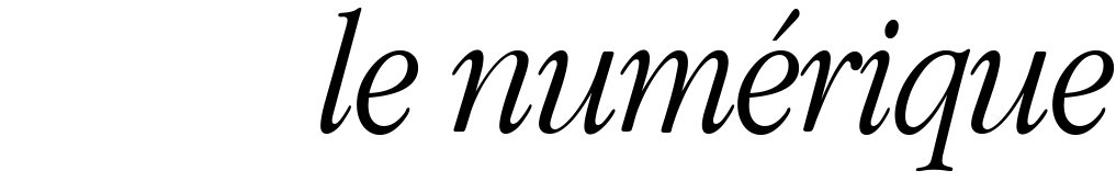 Italic French text reading 'le numérique' in elegant serif font on white background.