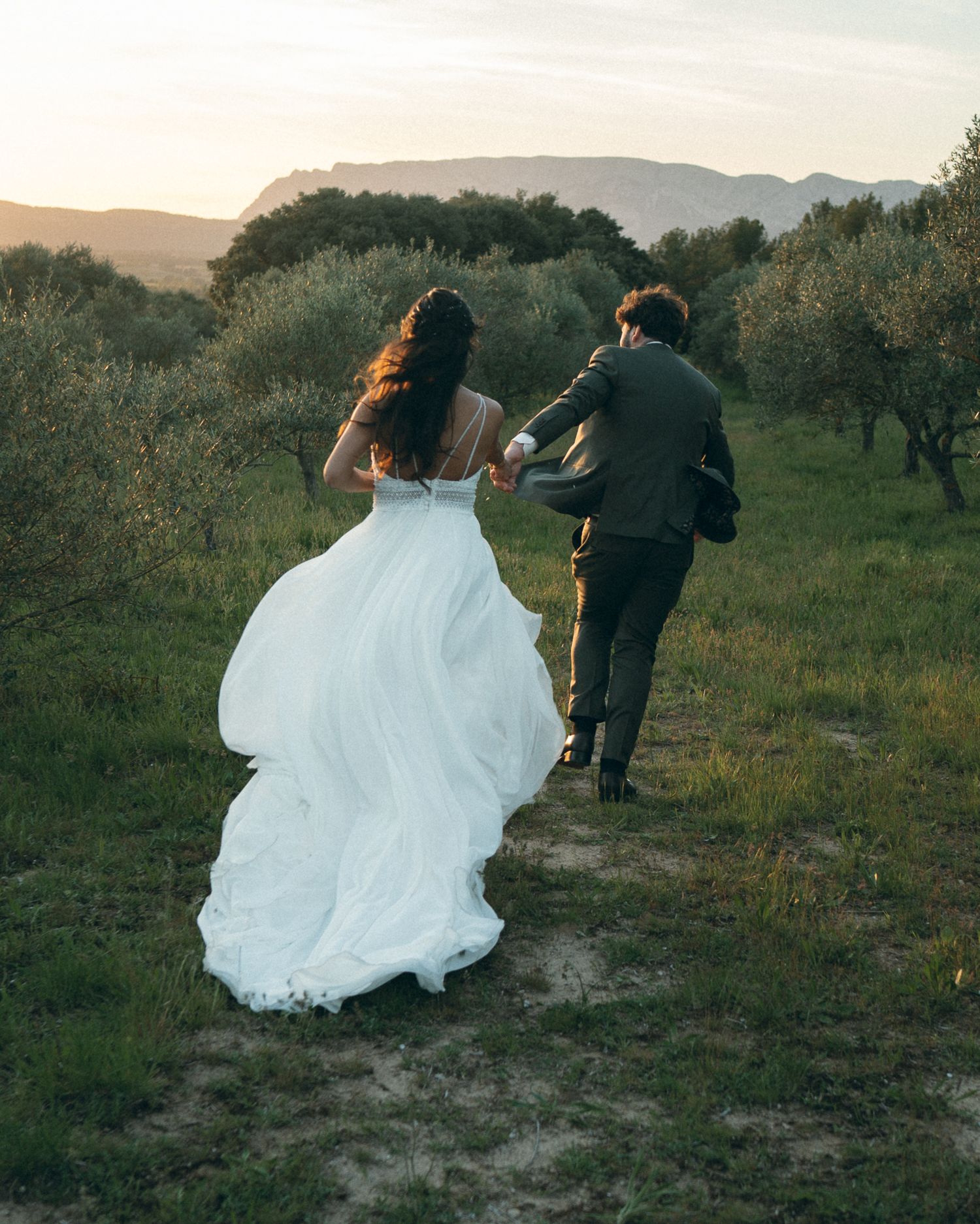 A couple in wedding attire walking together through a scenic olive grove at sunset.