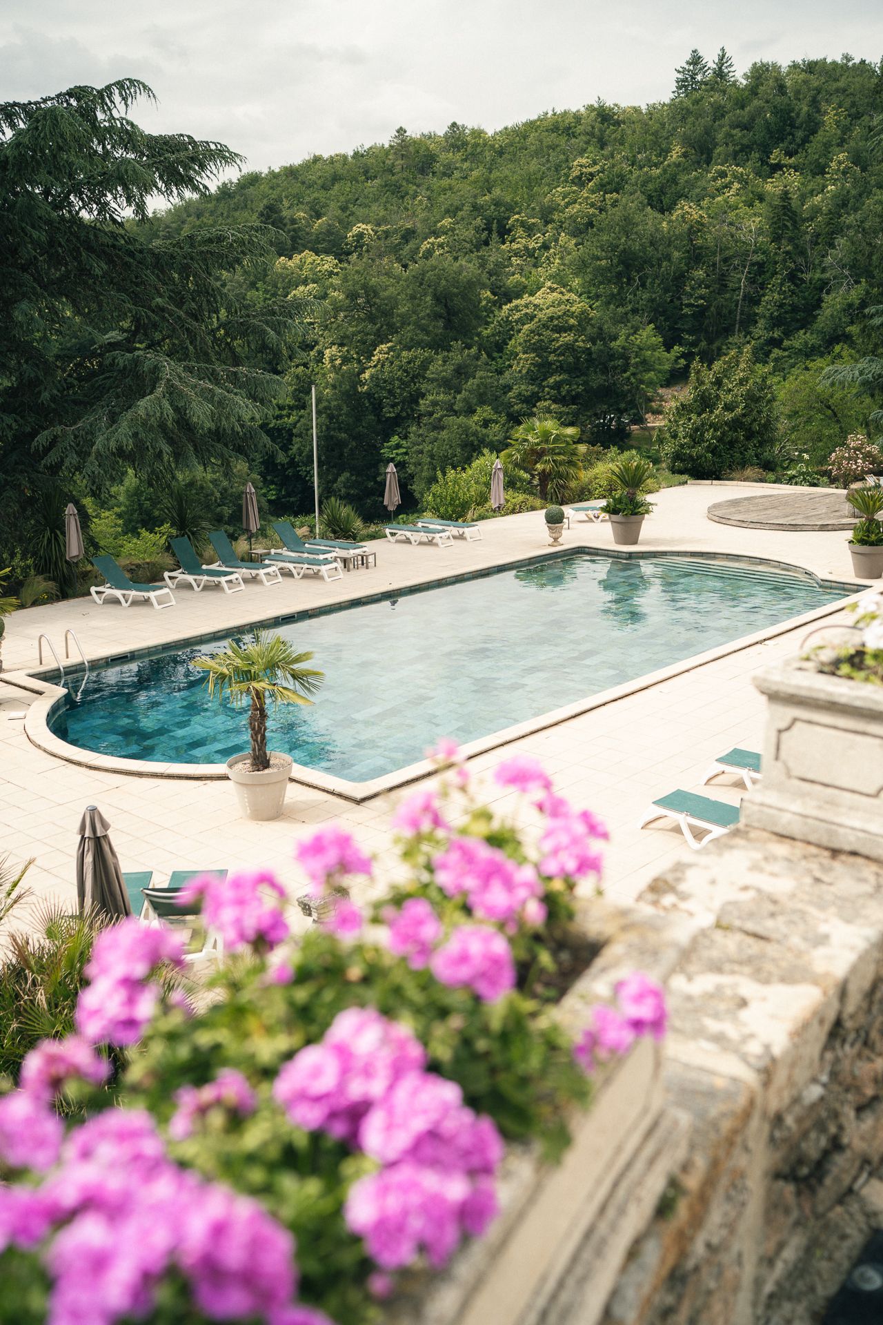 Panoramic view of a luxurious infinity pool surrounded by lush green forest and blooming pink flowers in the foreground.