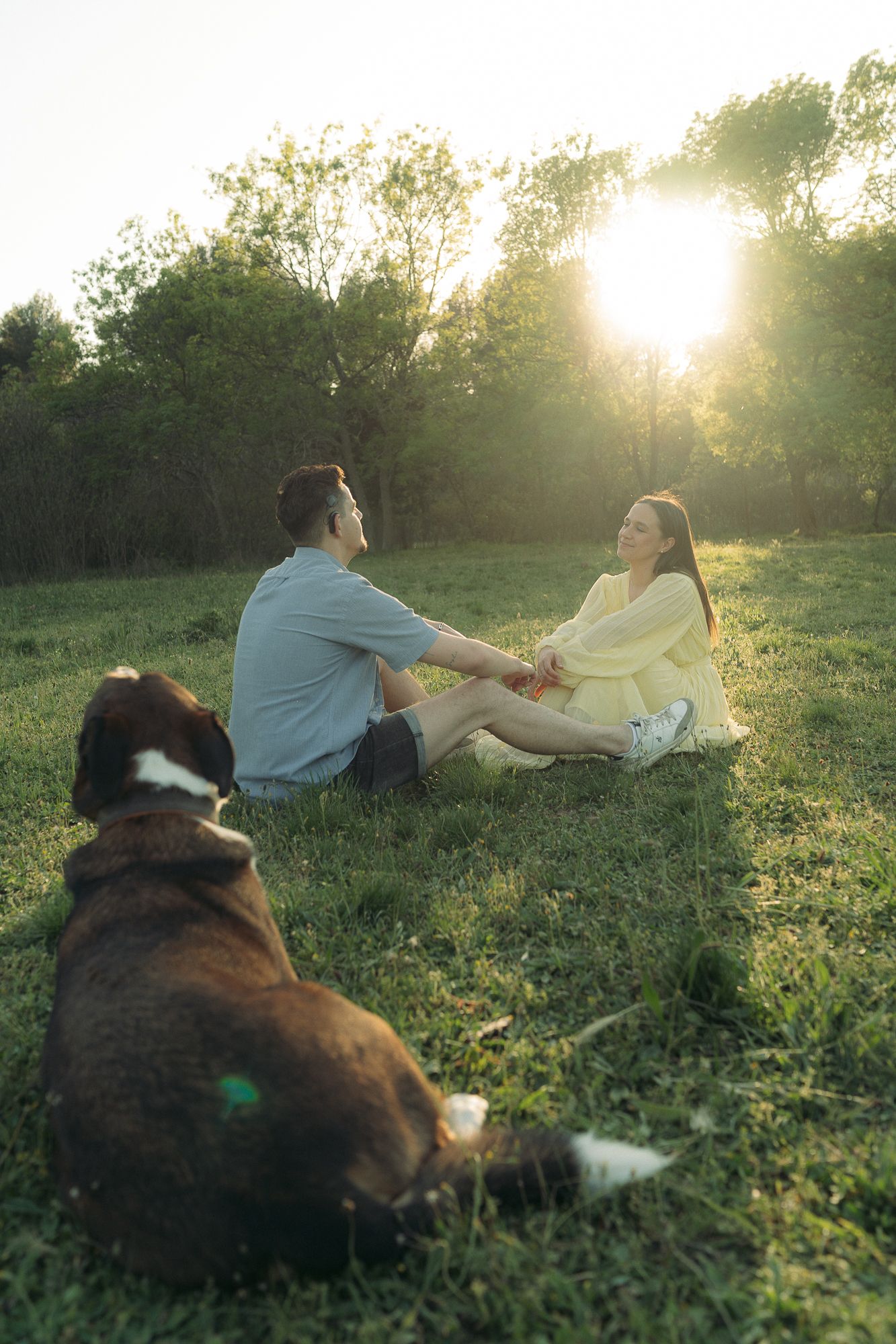 Couple sitting on grass holding hands at sunset with a brown dog in the foreground and trees in the background.