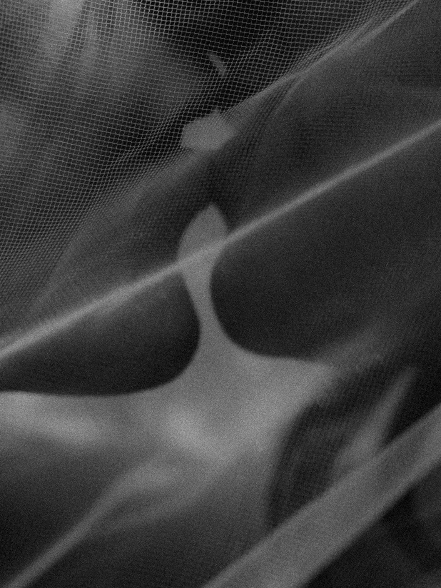 Close-up black and white photograph of draped sheer mesh fabric with soft folds and shadows.