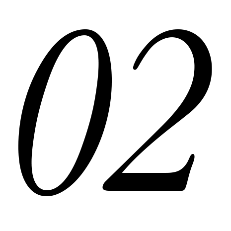Elegant italic numbers in a serif font showing 02.