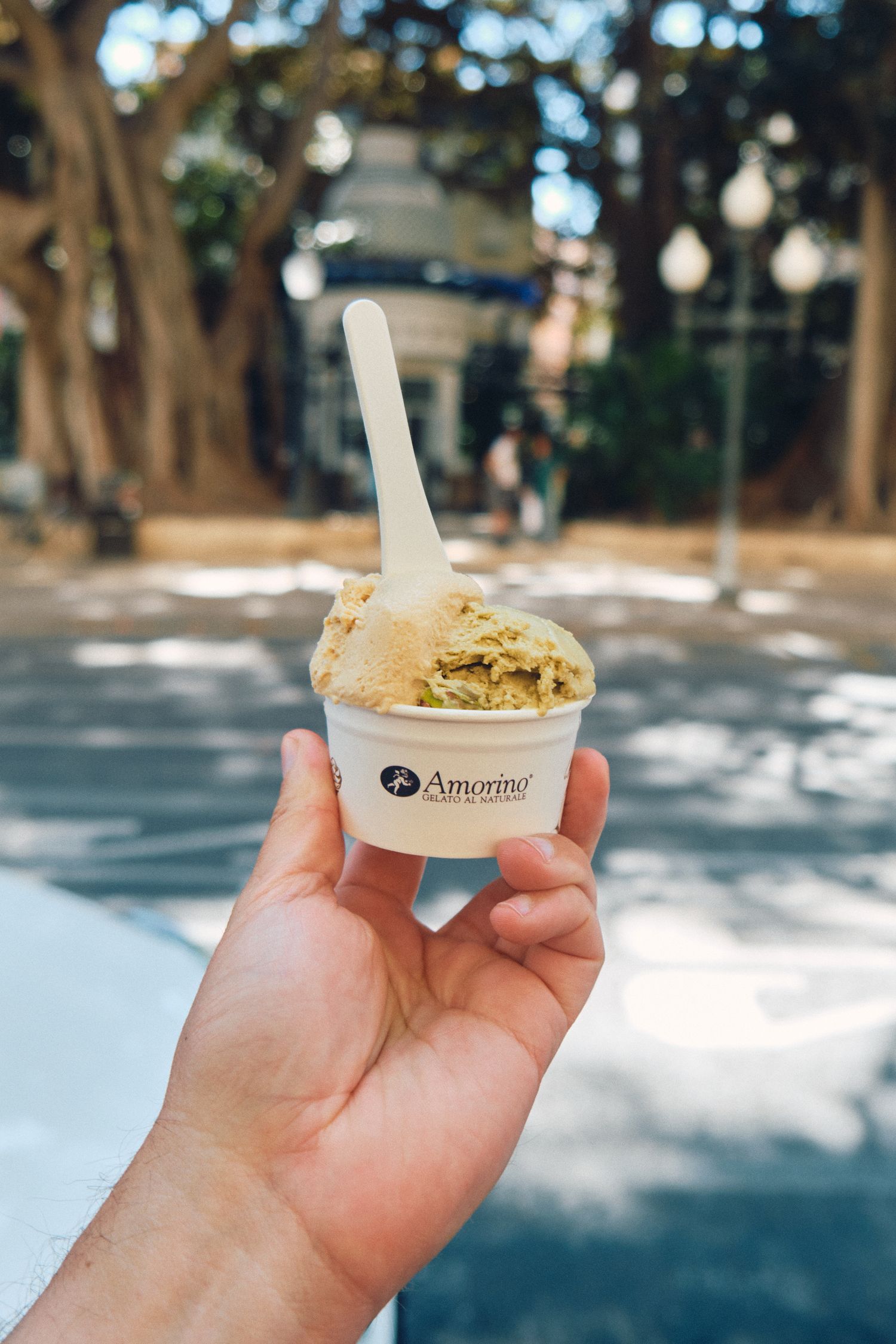 Hand holding a cup of artisanal ice cream with a spoon against a blurred outdoor background.
