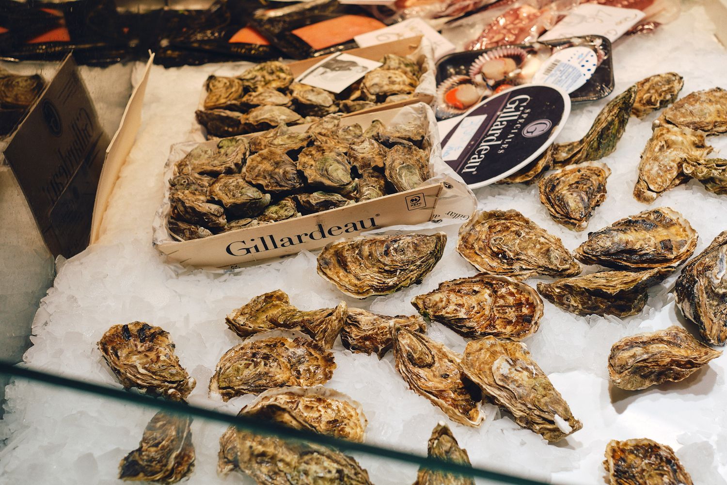 Fresh Gillardeau oysters displayed on ice at a seafood market counter.