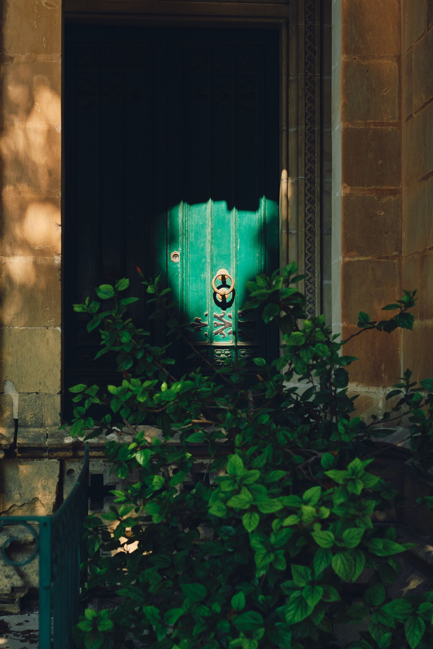 Mysterious green door with foliage in old stone building.