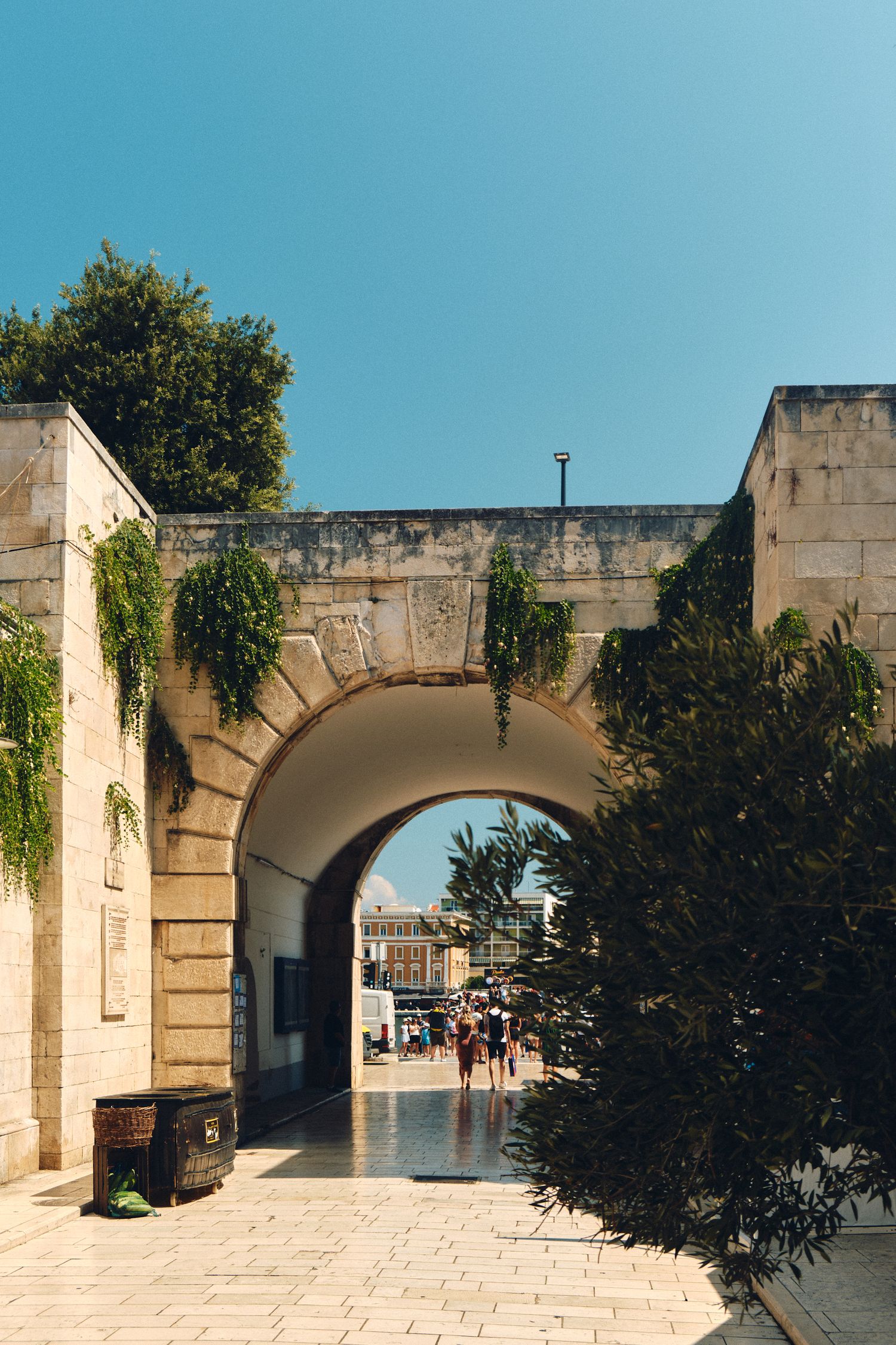Stone archway passage with vines growing on walls in Mediterranean architecture.