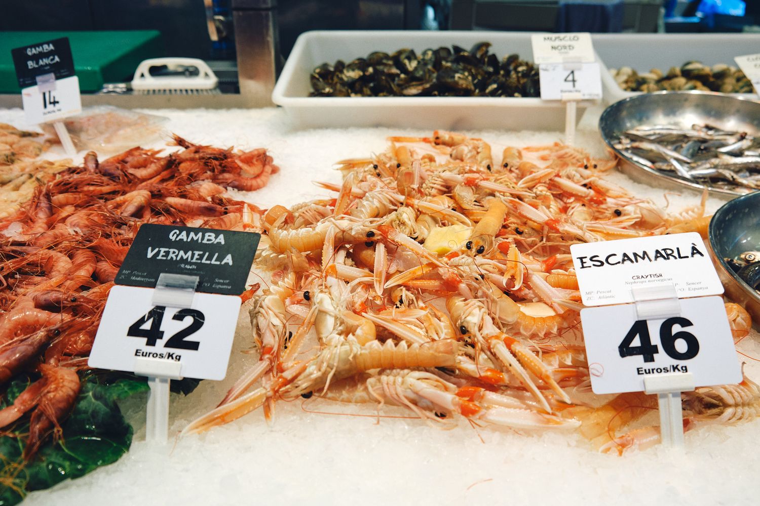 Fresh seafood display on ice at a market, featuring Gamba Vermella prawns at 42 and Escamarlà at 46 euros per kg.
