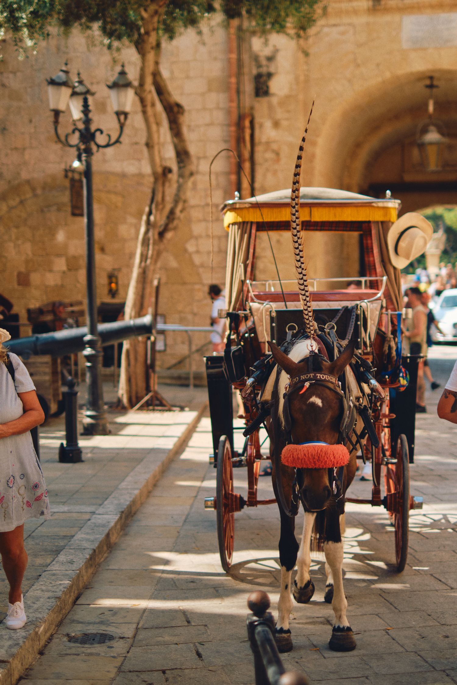 Horse-drawn carriage on cobblestone street with ornate street lamp.