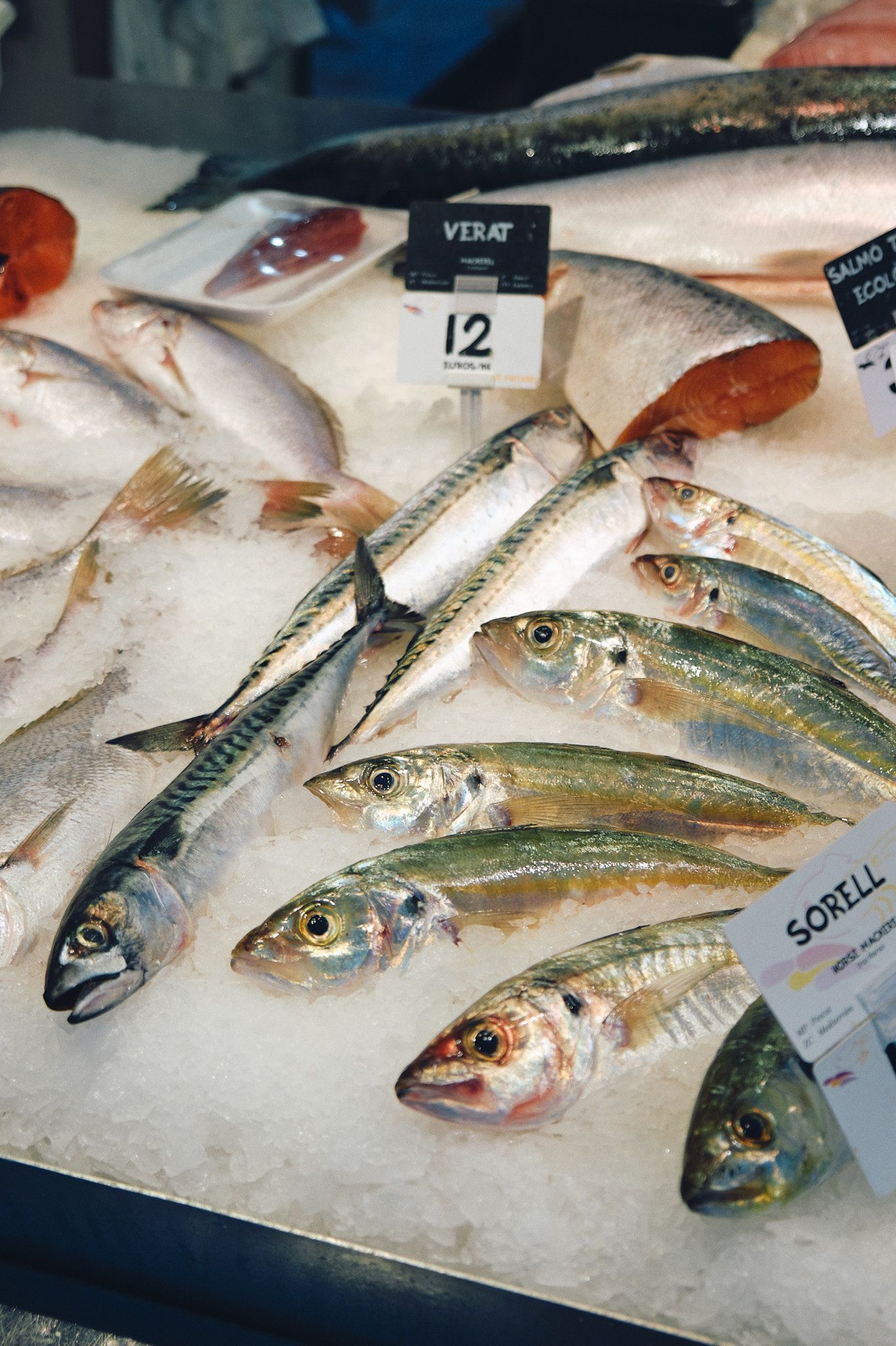 Fresh whole fish displayed on ice at a seafood market with price tags, including mackerel and other Mediterranean varieties.