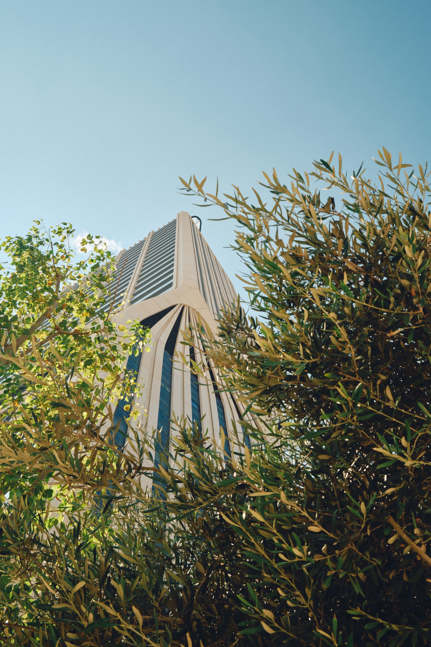 Modern skyscraper building viewed through olive tree branches against blue sky. Mercury Tower by Zaha Hadid.