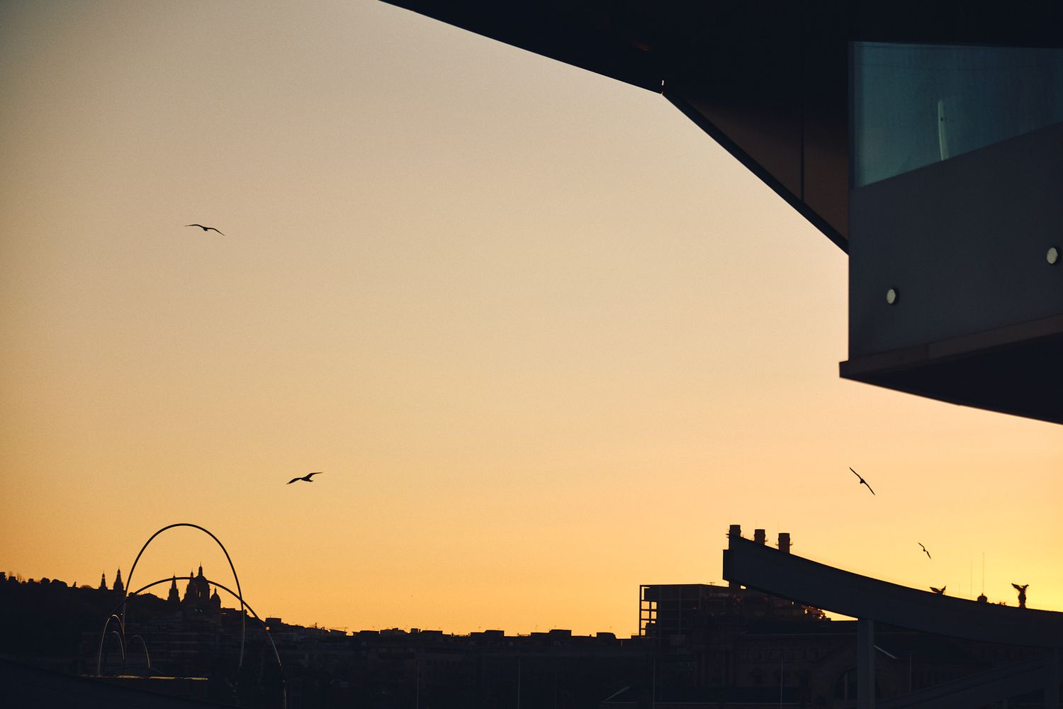Silhouette of birds flying over a city skyline at golden sunset with architectural structures in the foreground.