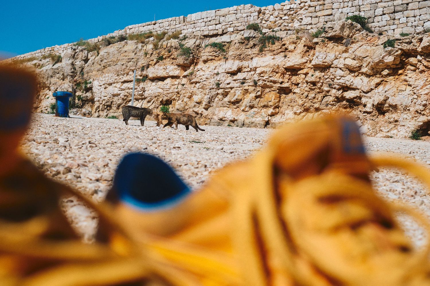 Rocky coastal wall viewed through yellow-tinted sunglasses on a sunny day.