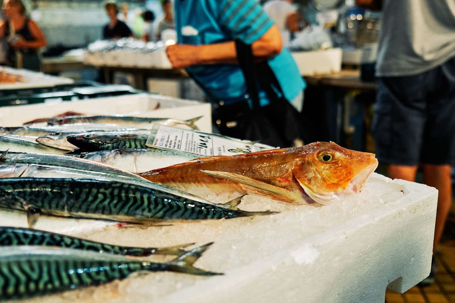 Fresh catch of fish displayed on ice at market stall with red snapper in focus.
