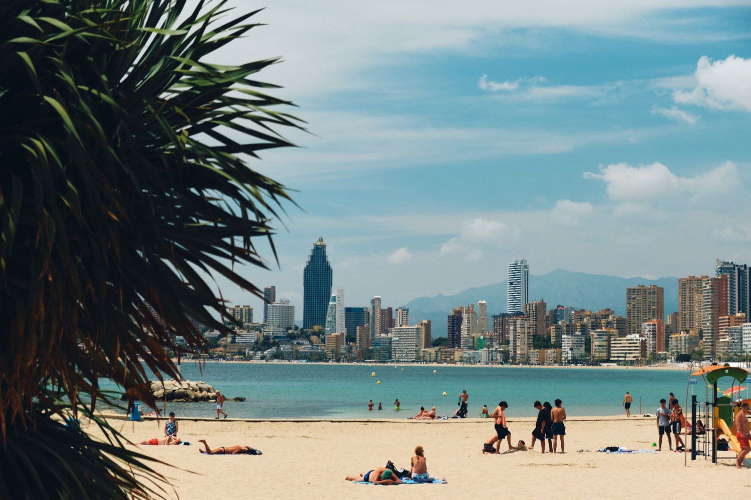 Coastal cityscape with palm trees and beachgoers enjoying a sandy beach against a backdrop of high-rise buildings.