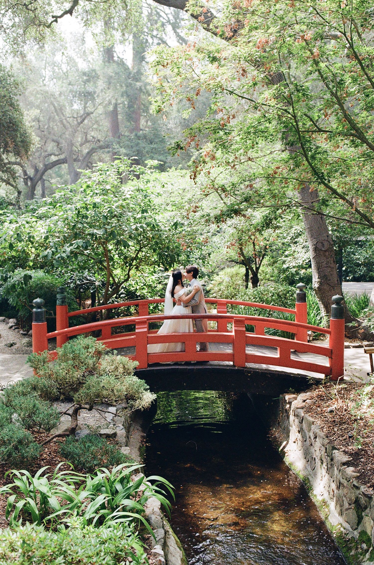 A film photograph at a garden in North Carolina showcasing a red bridge and greenery