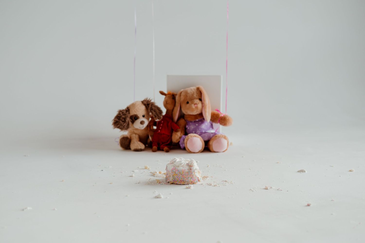 A collection of plush teddy bears and stuffed animals arranged in a minimalist sequence on a white background.