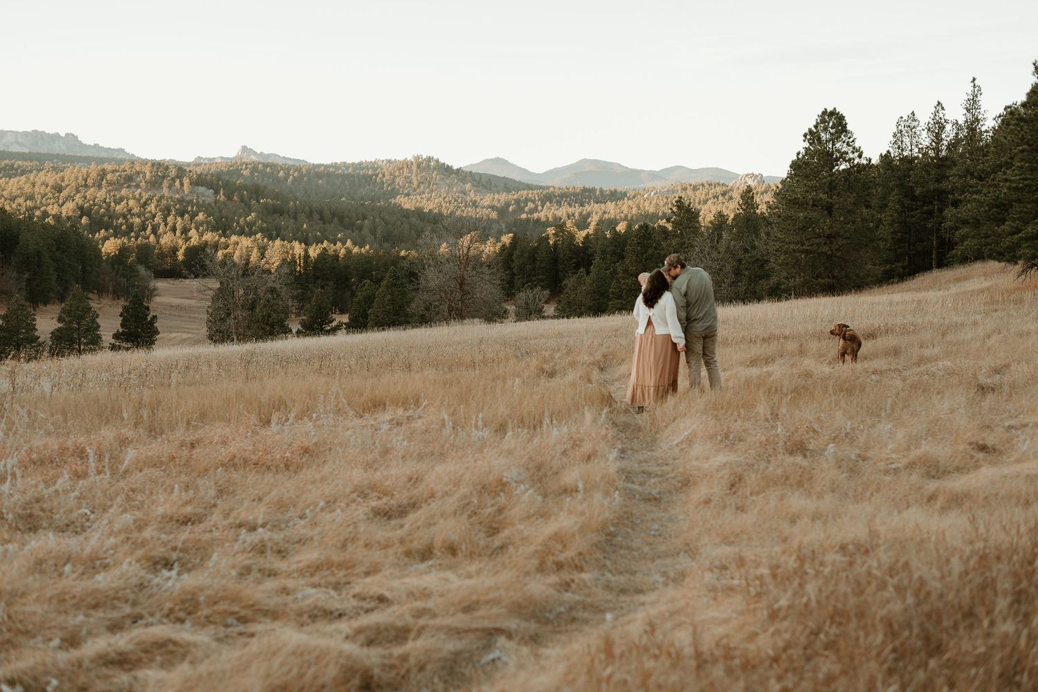 A scenic mountain landscape with golden autumn grass and evergreen trees in the distance.