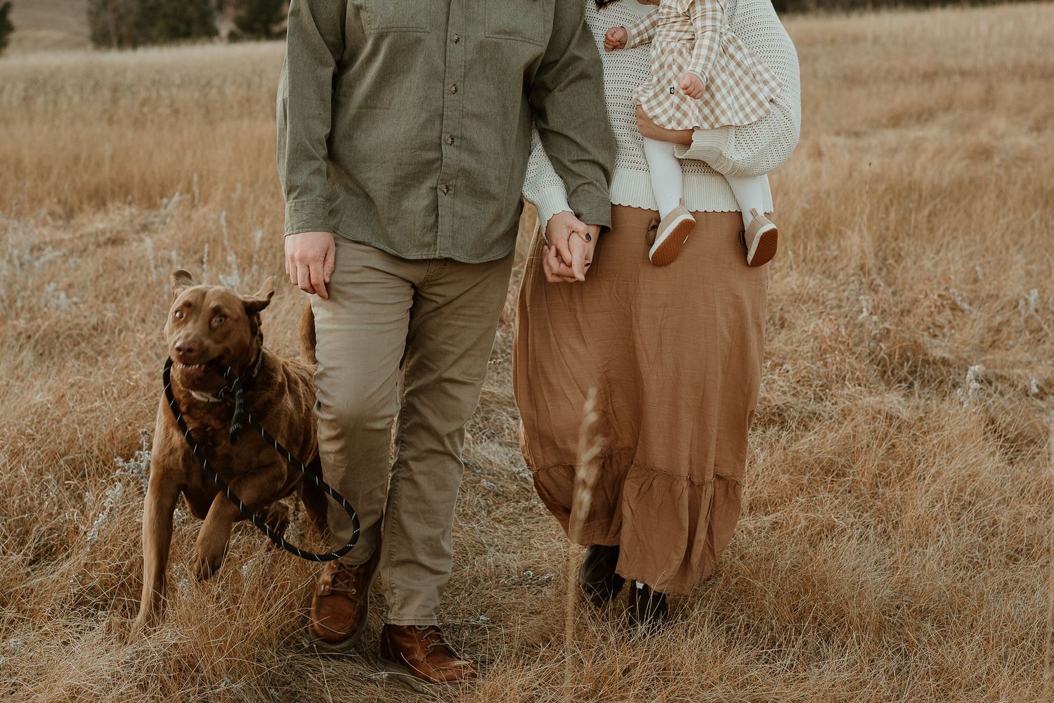 A couple and their dog walk through a golden meadow with mountains in the background.