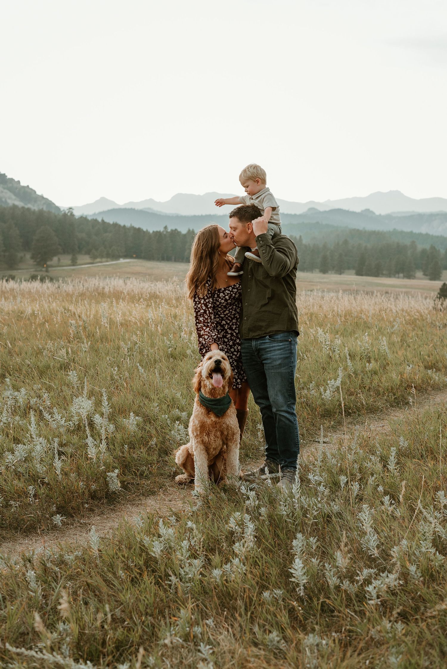 A family and their goldendoodle dog stand together in a mountain meadow during golden hour.
