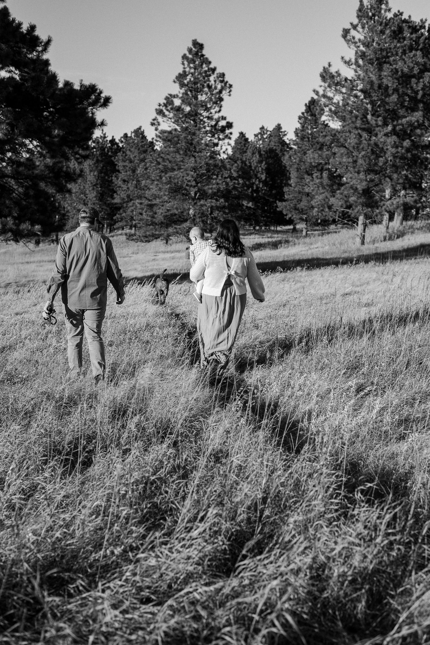 A black and white photo of people walking together through a grassy meadow with pine trees in the background.