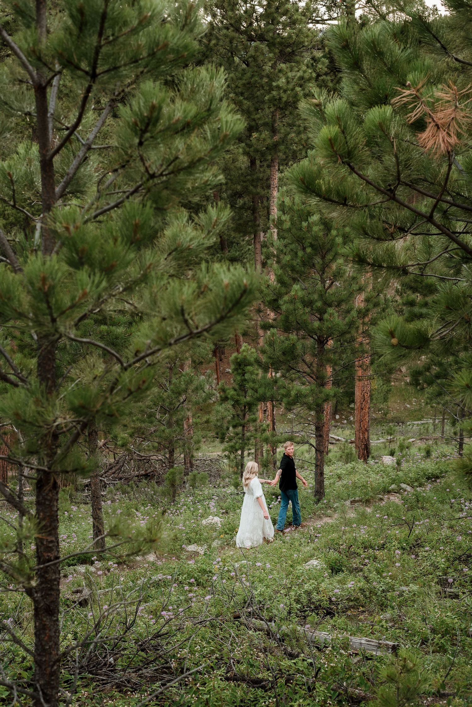 Two people walking through a pine forest on a mountain trail.