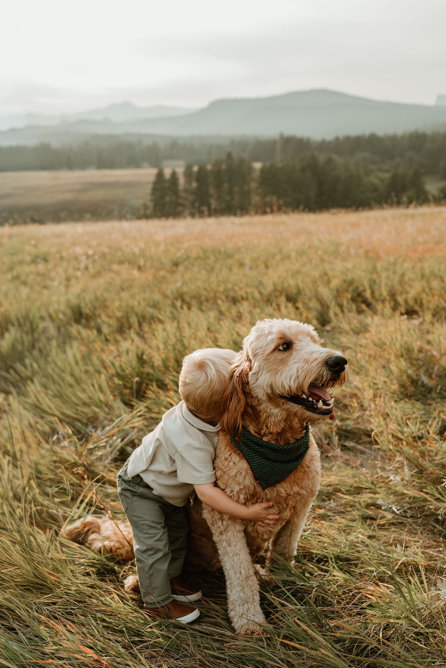A young child hugs a fluffy goldendoodle dog in a grassy field at sunset.