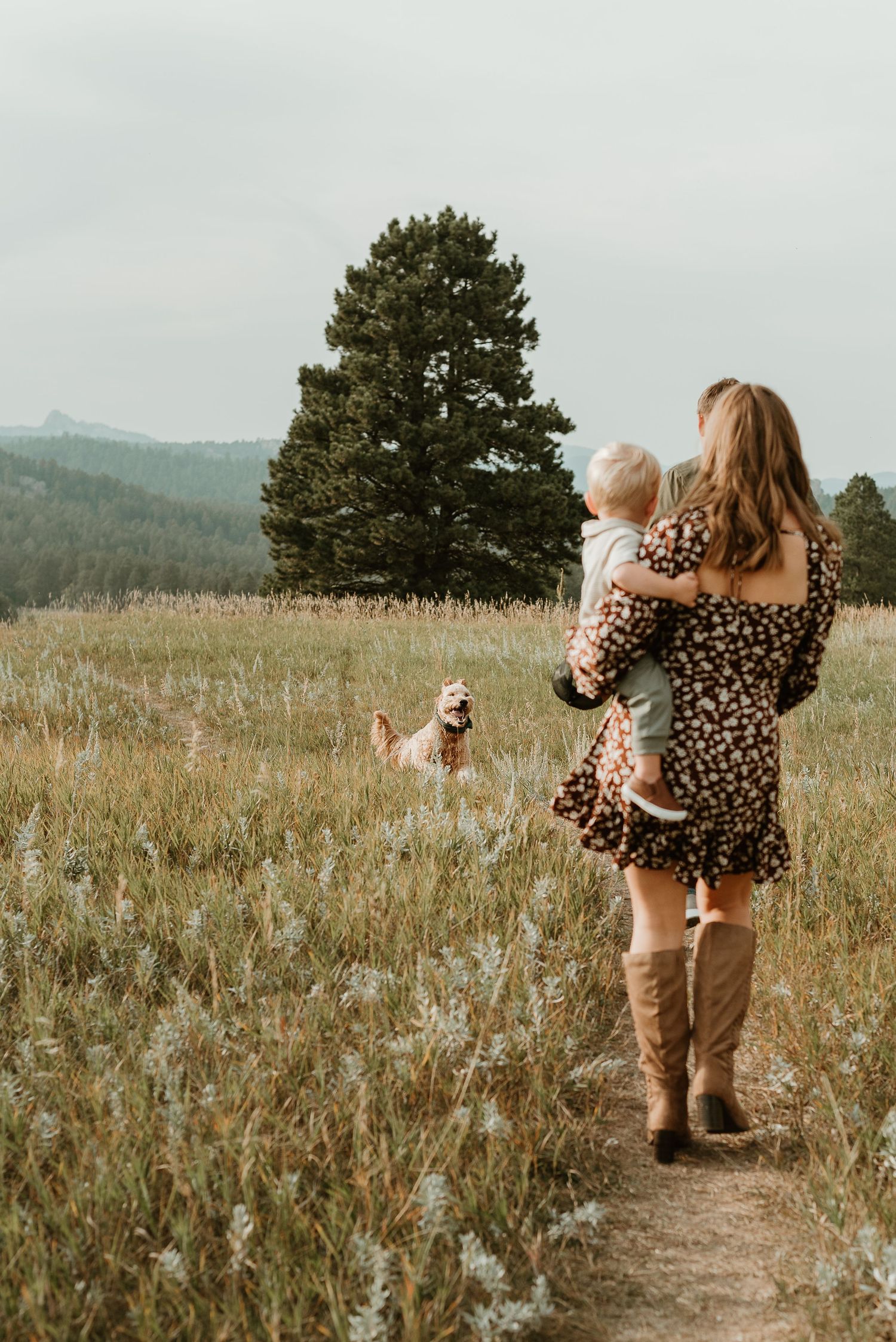 Two people walk hand in hand through a sunlit mountain meadow with tall grass and pine trees in the distance.
